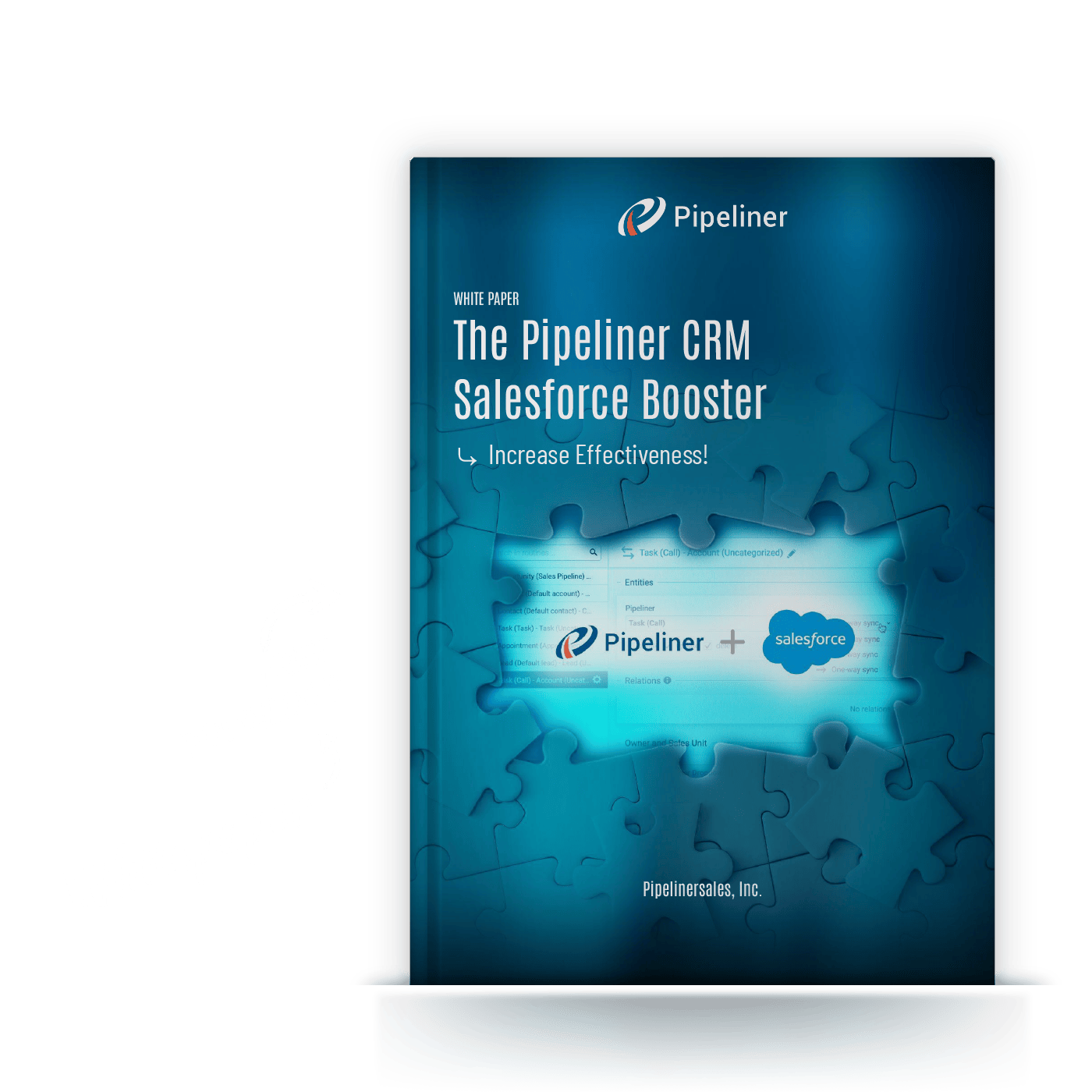 Pipeliner CRM Salesforce booster whitepaper